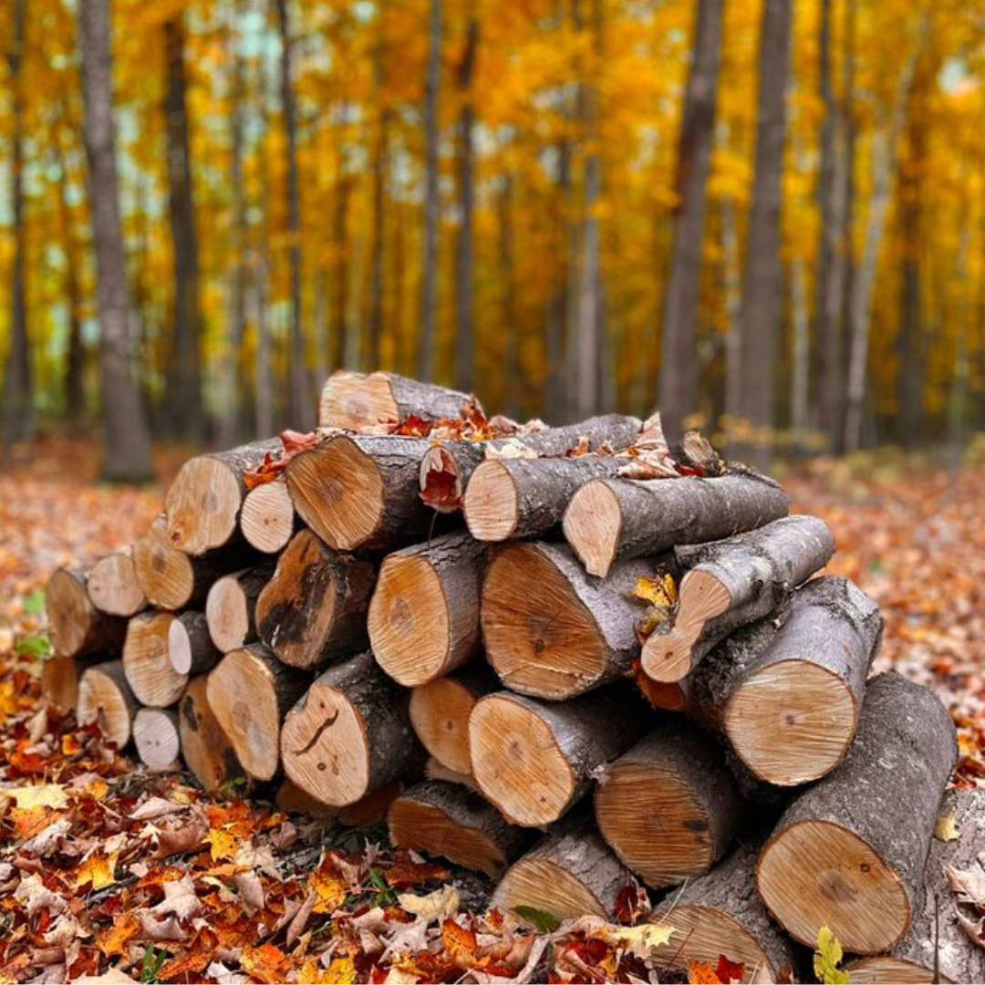 empresa de madera Cantabria